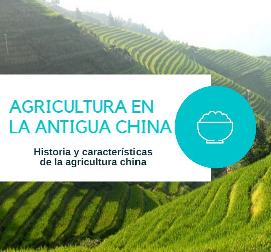 Agricultura china antigua